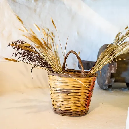 Axoni Windmill House *