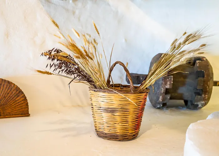 Axoni Windmill House *